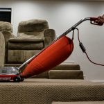 Will Professional Carpet Cleaning Remove Dog Urine Stains and Odors?