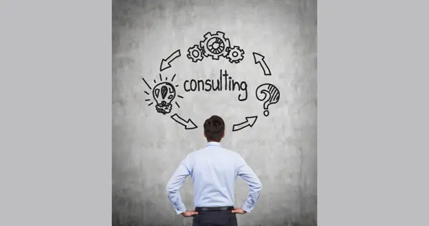 marketing vs consultant